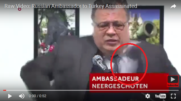Wag The Sobaka Why The Assassination Of The Russian Ambassador Appears Faked Turkeys Motive